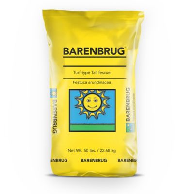 Barenbrug 50 lb. Barvado Tall Fescue Grass Seed