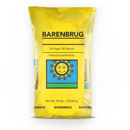 Barenbrug 50 lb 10 000 sq ft Barvado Tall Fescue Grass Seed Grass Seed