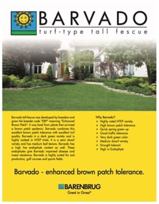 Image showing  50 lb. 10,000 sq. ft. Barvado Tall Fescue Grass Seed