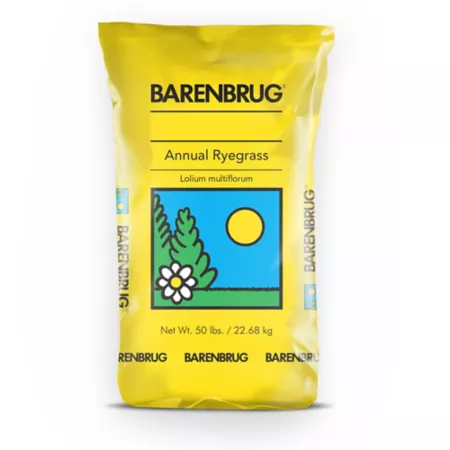 Barenbrug 50 lb 5 000 sq ft Panterra V Overseeding Ryegrass Seed Grass Seed