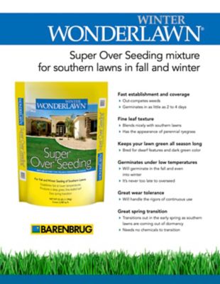 Image showing  25 lb. 2,500 sq. ft. Winter Wonderlawn Grass Seed Mix