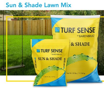 Image showing  5 lb. Sun and Shade Mix Grass Seed