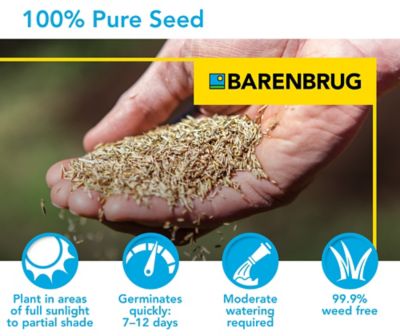 Image showing  25 lb. Sun and Shade Mix Grass Seed