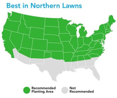 Image showing  50 lb. 10,000 sq. ft. Athletic Field Mix Grass Seed