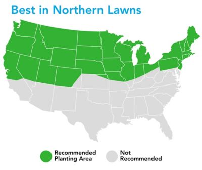 Image showing  25 lb. 5,000 sq. ft. Dense Shade Mix Grass Seed