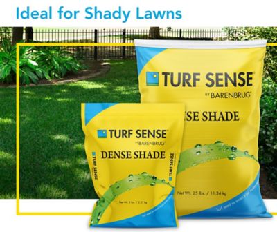 Image showing  50 lb. 10,000 sq. ft. Dense Shade Mix Grass Seed