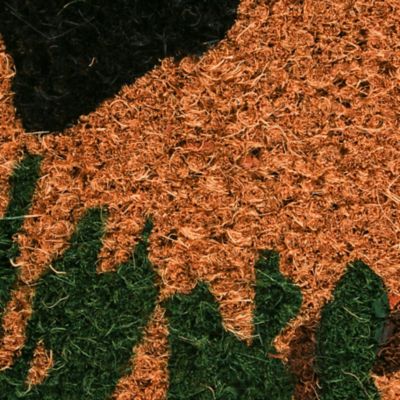 Image showing 2 th DII Bear Country Decorative Natural Fiber Doormat