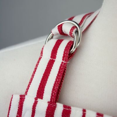 Image showing 10 th DII Tomato Striped Foodie Gourmet Chef Apron