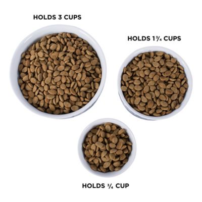 Image showing  Lattice Dishwasher Safe Porcelain Pet Bowl, 1-Pack