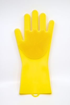 Image showing  Pet Grooming Glove, FZG1001