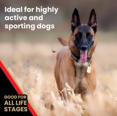 Image showing 4 th Victor High Energy All Life Stages Beef Recipe Dry Dog Food