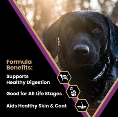 Image showing 1 th Victor Professional Formula All Life Stages Beef Recipe Dry Dog Food