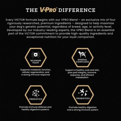 Image showing 3 th Victor Professional Formula All Life Stages Beef Recipe Dry Dog Food