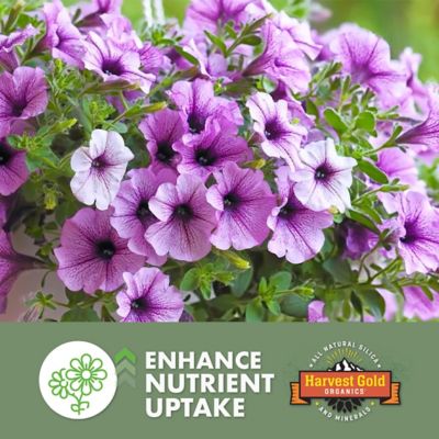 Image showing 5 th Harvest Gold 3 lb. Premium Soil Conditioner