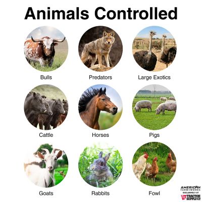 Image showing  0.2-Joule 18-Mile Solar-Powered Fence Energizer