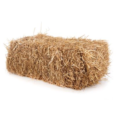 2-String Pine Straw Bale