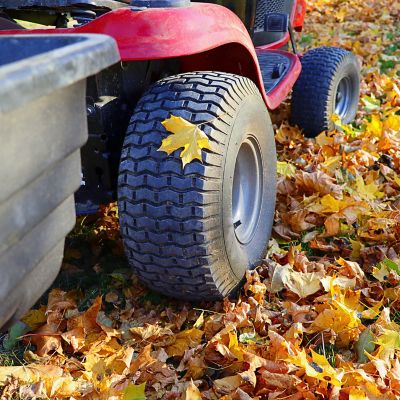 Image showing  20x8.00-8 Turf 4 Ply Tubeless Low Speed Tire