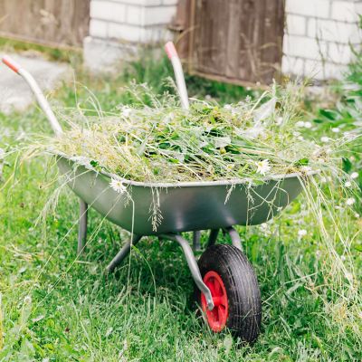 Image showing  4.80/4.00-8 Rib 4 Ply Tubeless Low Speed Tire