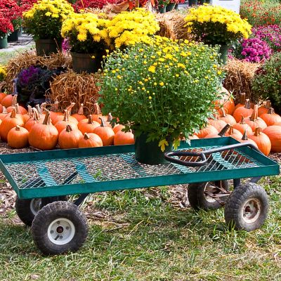 Image showing  4.10/3.50-5 Stud 4 Ply Tubeless Low Speed Tire