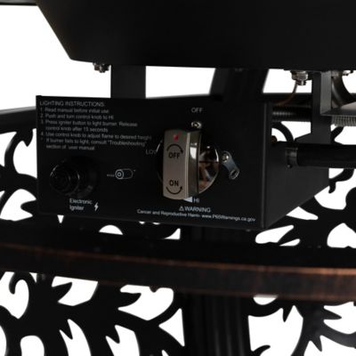 Image showing  19.34 in. x 48 in. x 38 in. Toulon Oval Aluminum Propane Gas Fire Pit, Antique Bronze