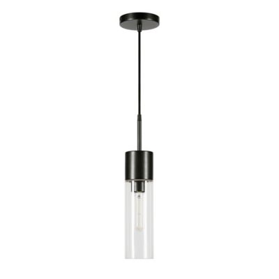 Hudson&Canal Lance Metal and Glass Pendant Light, 8 ft. Polyester Weave Cord