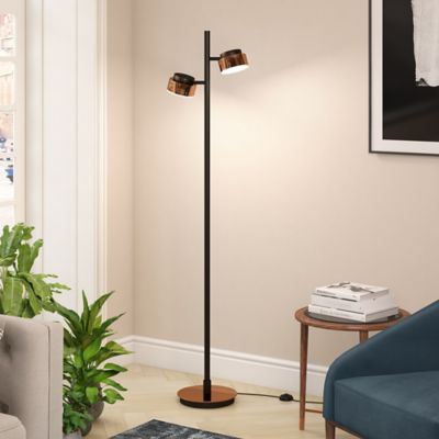 Image showing  Jex Copper and Black Floor Lamp, 8 ft. Cord