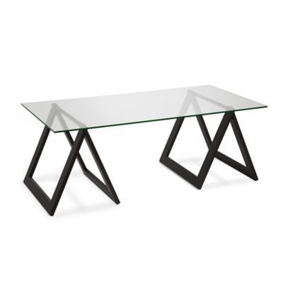 Hudson&Canal Modara Rectangular Coffee Table, 46 in.