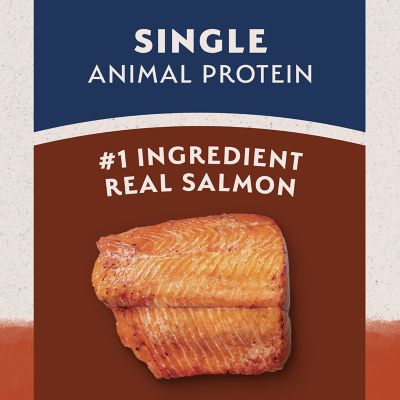 Image showing  Grain Free Salmon & Sweet Potato Recipe Dry Dog Food, 4 lb. Bag