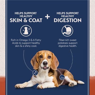 Image showing  Grain Free Salmon & Sweet Potato Recipe Dry Dog Food, 4 lb. Bag