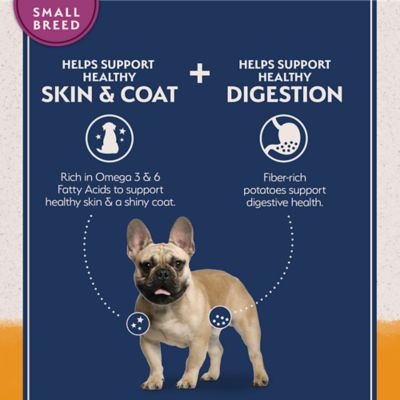 Image showing  Reserve Grain Free Duck & Potato Small Breed Recipe Dry Dog Food, 12 lb.