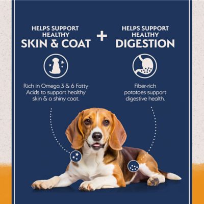 Image showing  Limited Ingredient Grain Free Duck & Potato Recipe Dry Dog Food