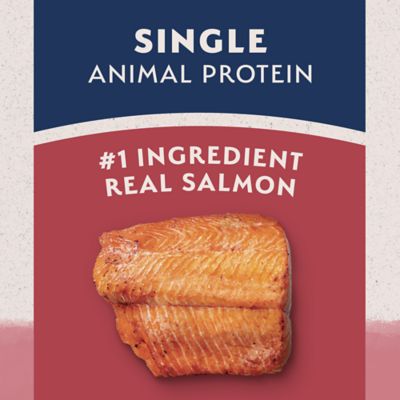 Image showing  Limited Ingredient Diets Salmon & Brown Rice Dry Dog Food, 26 lb. Bag