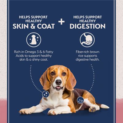 Image showing  Limited Ingredient Diets Salmon & Brown Rice Dry Dog Food, 26 lb. Bag