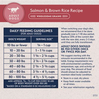 Image showing 6 th Natural Balance Limited Ingredient Diets Salmon & Brown Rice Dry Dog Food, 26 lb. Bag