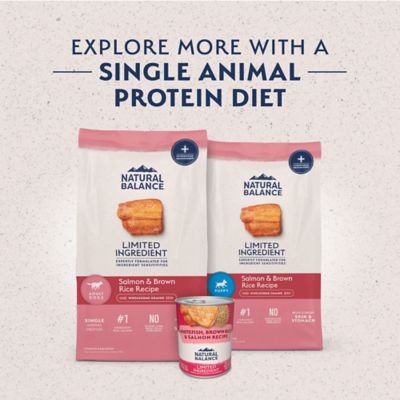 Image showing 8 th Natural Balance Limited Ingredient Diets Salmon & Brown Rice Dry Dog Food, 26 lb. Bag