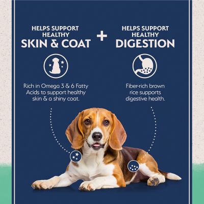 Image showing 5 th Natural Balance Grain Free Chicken & Sweet Potato Recipe Dry Dog Food