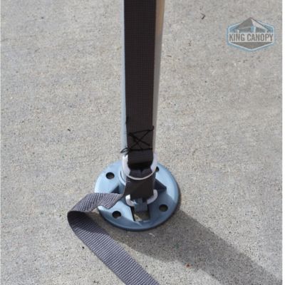 Image showing 7 th King Canopy 10 ft. x 20 ft. Garden Shade Canopy