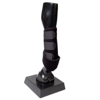 Image showing  Sport Horse Boots, 1 Pair