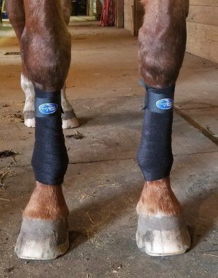 Image showing  Horse Polo Wraps, 4-Pack