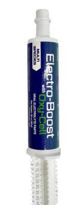 Image showing  Electro Boost Equine Electrolyte Paste, 80cc, 4-8 Doses