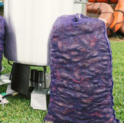 Image showing  Steel Double Jet Outdoor Cooker