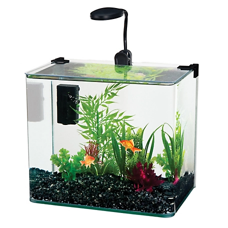 Penn-Plax Radius Glass Fish Tank Aquarium Kit with LED Light, 3.4 gal.