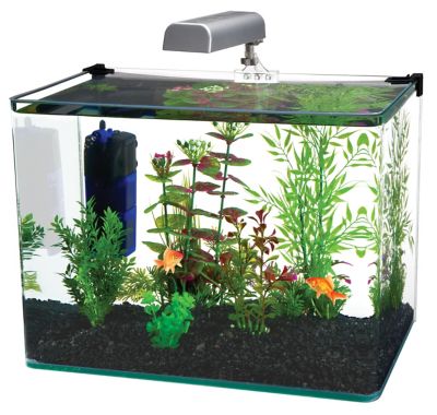 Penn-Plax Radius Glass Fish Tank Aquarium Kit with LED Light, 5 gal.