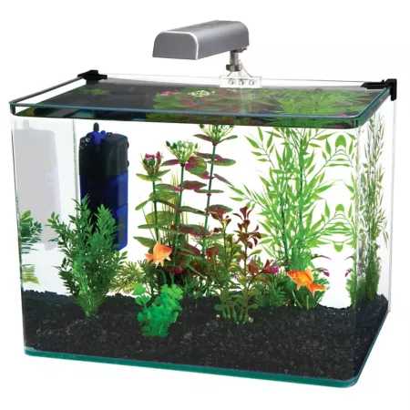 Penn-Plax Radius Glass Aquarium Kit with LED Light 5 gal. Aquariums