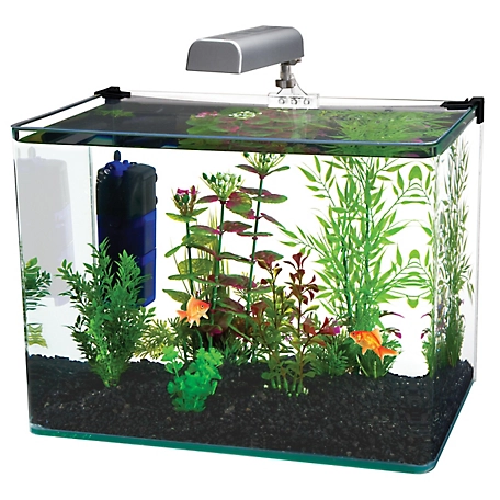 Penn-Plax Radius Glass Fish Tank Aquarium Kit with LED Light, 5 gal.