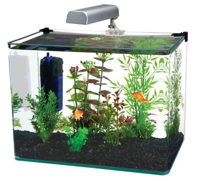 Penn-Plax Radius Glass Fish Tank Aquarium Kit With Led Light, 10 Gal.