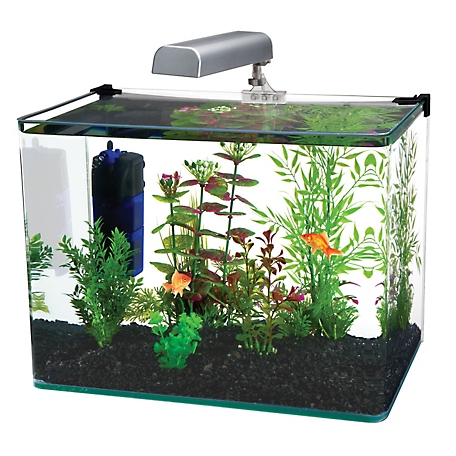Penn-Plax Radius Glass Fish Tank Aquarium Kit with LED Light, 10 gal.