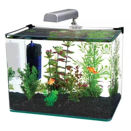 Penn-Plax Radius Glass Aquarium Kit with LED Light 10 gal. Aquariums