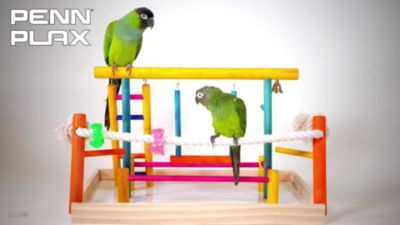 Image showing  Wood Bird Play Pen, 18.5 in. x 15 in. x 12 in.
