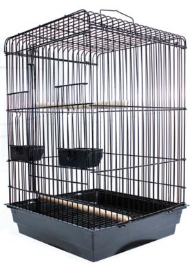 Penn-Plax Square Top Bird Cage Starter Kit, Large